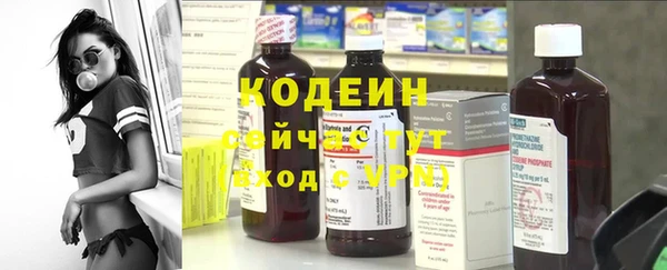 ешки Алзамай